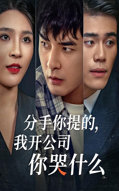 分手你提的，我开公司你哭什么第01集