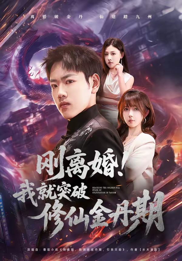 刚离婚！我就突破修仙金丹期(全集)