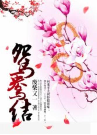 鸳鸯结第2集
